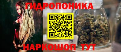 мескалин Камышлов
