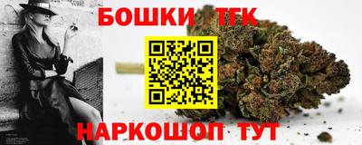 шишки Канаш