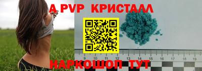 шишки Канаш