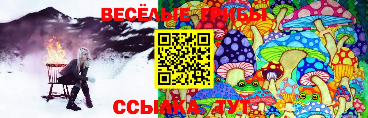 Галлюциногенные грибы мухоморы Лесной