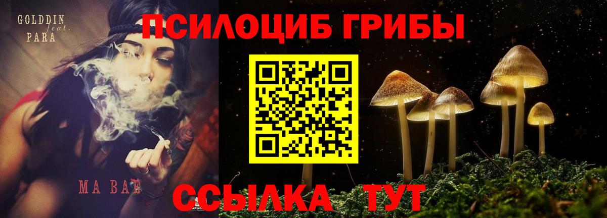 купить закладку  Галлюциногенные грибы прущие грибы  Вход с VPN  Лесной 