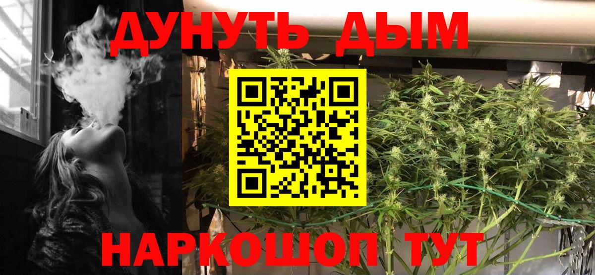 Бошки марихуана план  МАРИХУАНА сатива  Шишки марихуана LSD WEED  Шишки марихуана THC 21%  Вход с VPN  Лесной 